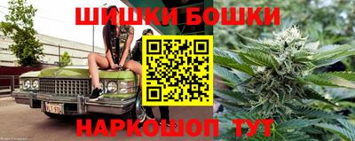 индика Моздок