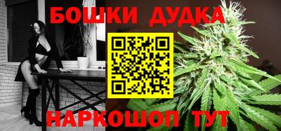 индика Моздок