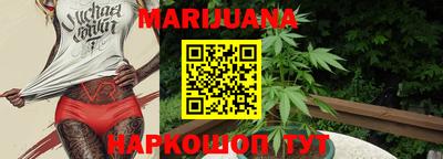 индика Моздок