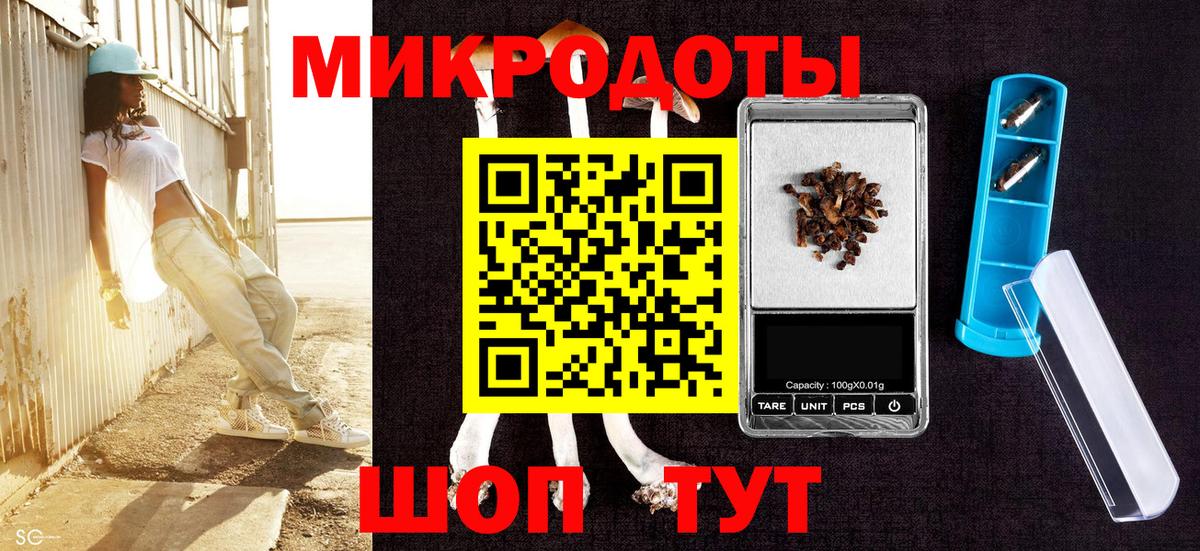 Галлюциногенные грибы Psilocybine cubensis  Вход с VPN  Добрянка 
