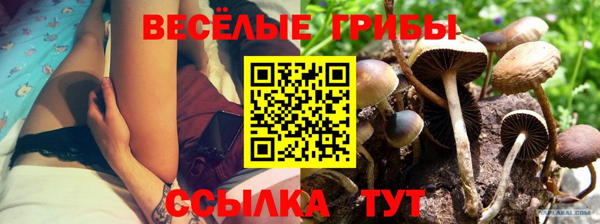 Галлюциногенные грибы мухоморы Добрянка